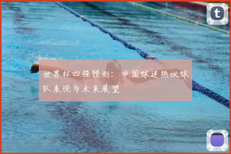 世界杯四强预测：中国球迷热议球队表现与未来展望