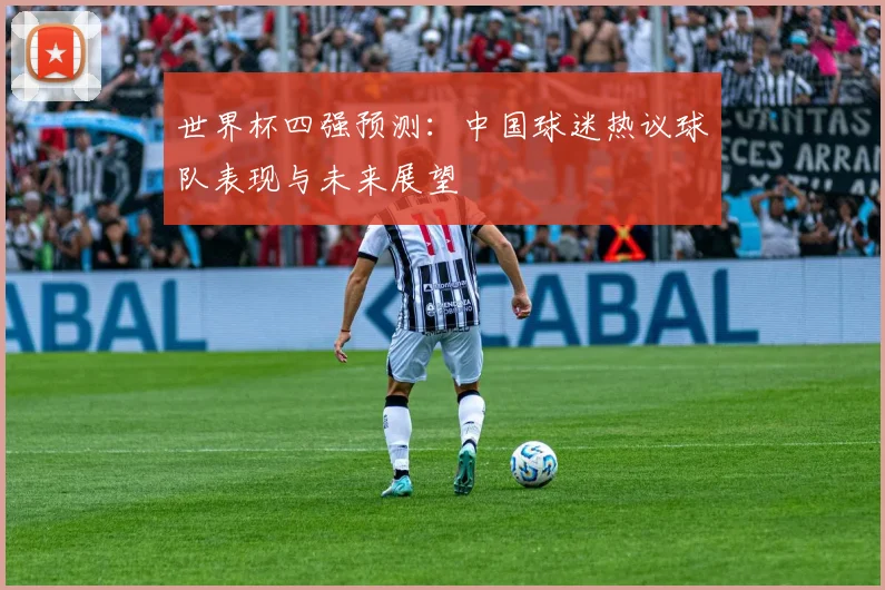 世界杯四强预测：中国球迷热议球队表现与未来展望