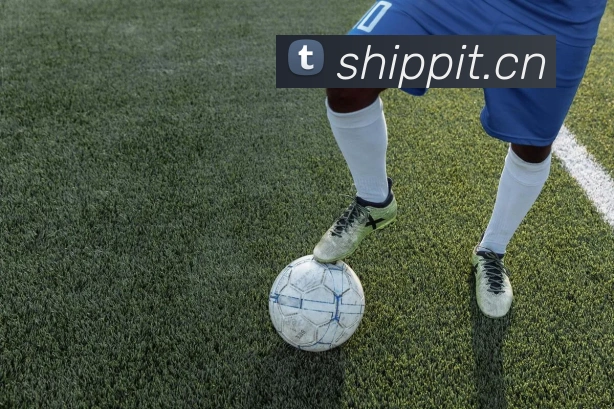 华体会官网登录入口平台全站App 华体会官网登录入口平台全站App